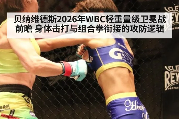 贝纳维德斯2026年WBC轻重量级卫冕战前瞻 身体击打与组合拳衔接的攻防逻辑