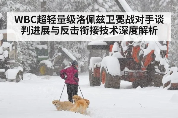WBC超轻量级洛佩兹卫冕战对手谈判进展与反击衔接技术深度解析